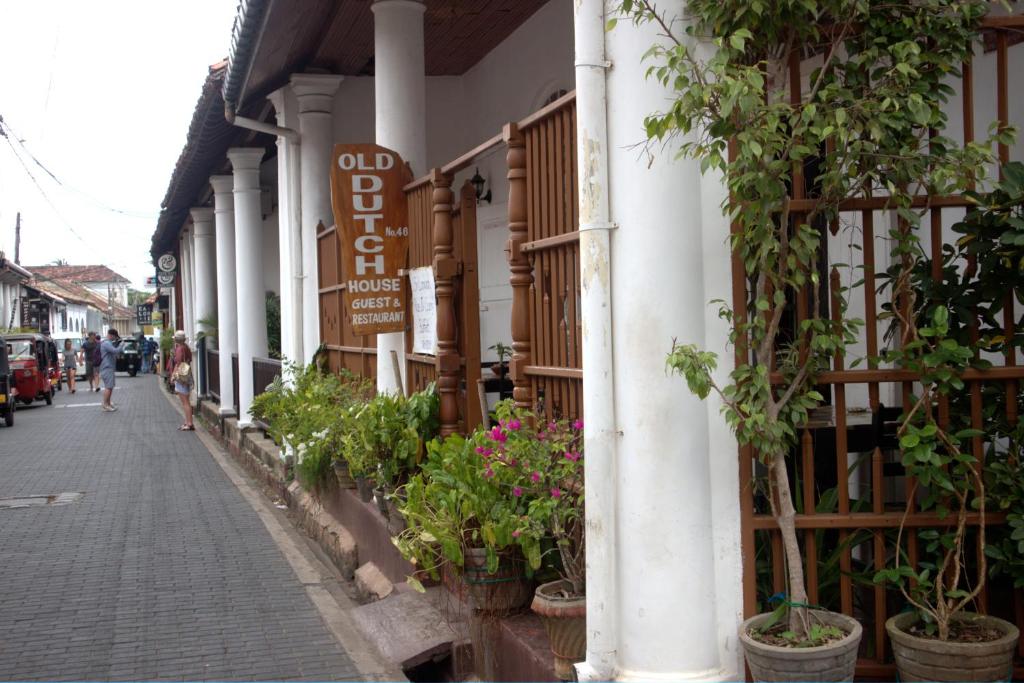 a building with potted plants on the side of a street at Old Dutch House in Galle