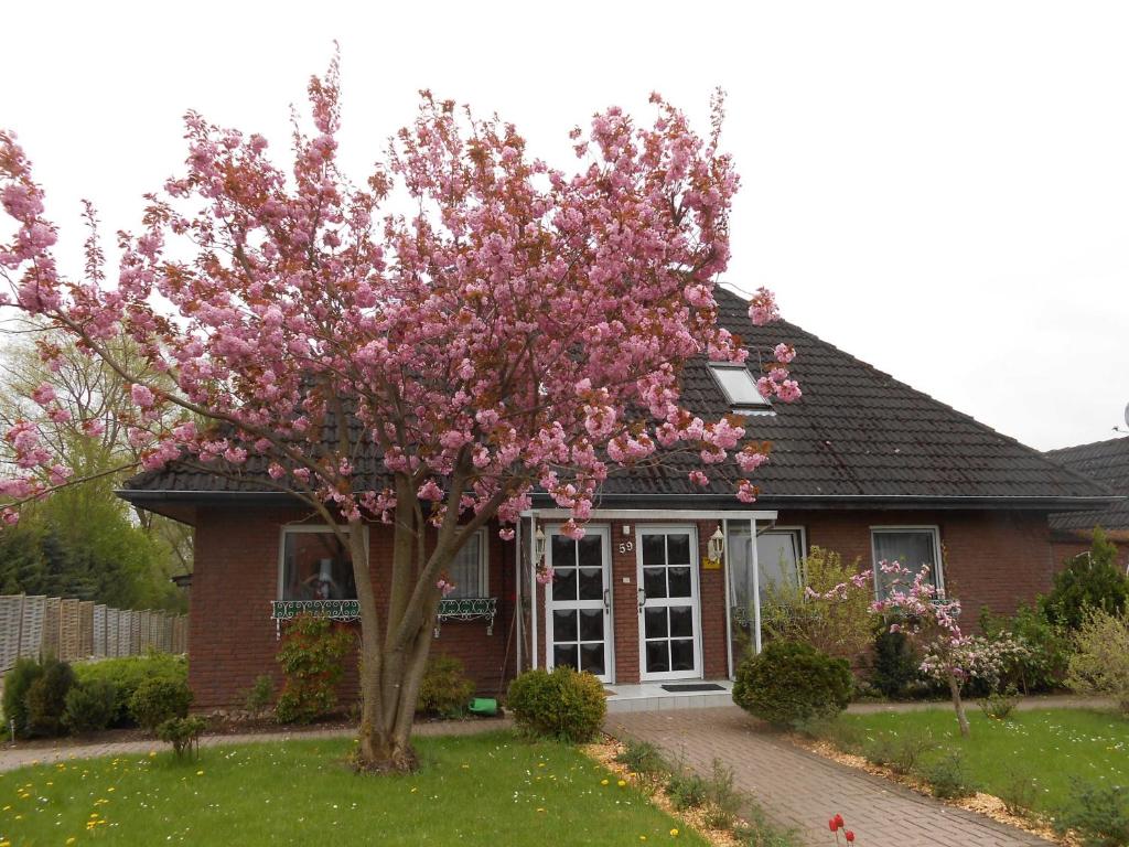 a pink flowering tree in front of a house at Sunhaus Koch in Haffkrug