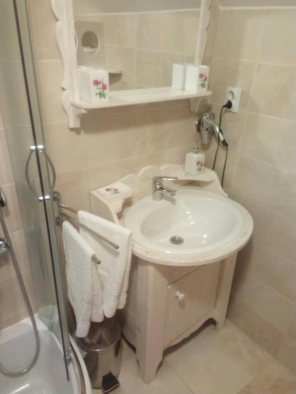 Koupelna v ubytování Dana apartmani