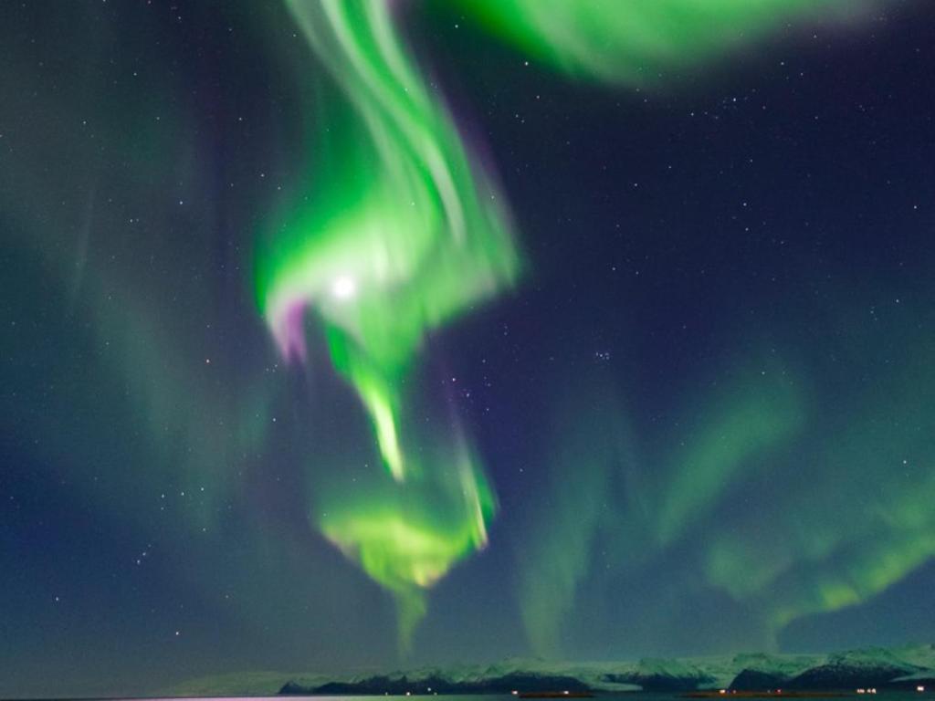Fotografie z fotogalerie ubytování Höfn Guesthouse v destinaci Höfn