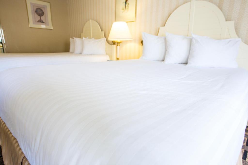- un grand lit blanc dans une chambre d'hôtel dans l'établissement Anaheim Carriage Inn, à Anaheim