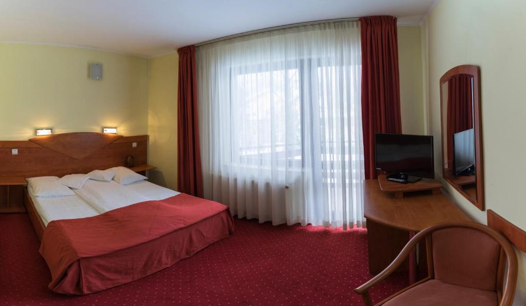 Pensiunea Vanatorul - Chambre Double Avec Balcon