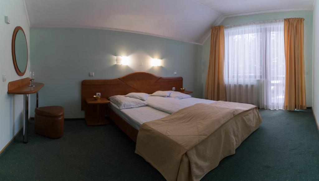 Pensiunea Vanatorul - Appartement D'une Chambre