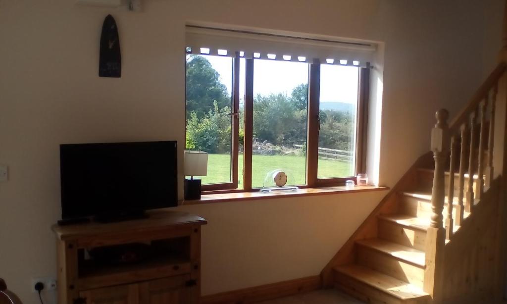 Un televisor sobre una cómoda junto a una ventana. en Larchlodge, en Ennis