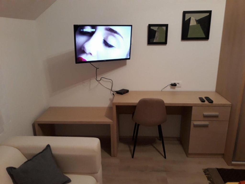 Μια τηλεόραση ή/και κέντρο ψυχαγωγίας στο Apartment Mašić