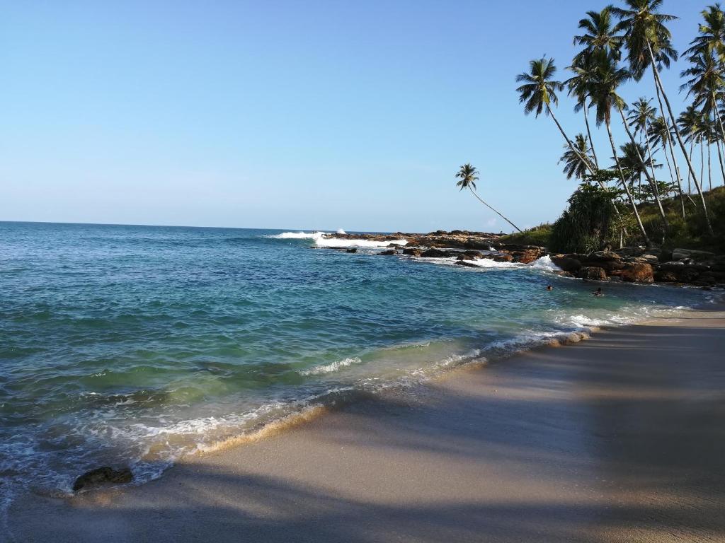een strand met palmbomen en de oceaan bij Star beach hotel in Tangalle