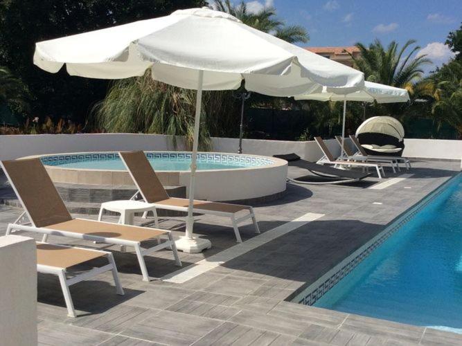 a group of chairs and an umbrella next to a pool at Alizé in San-Nicolao