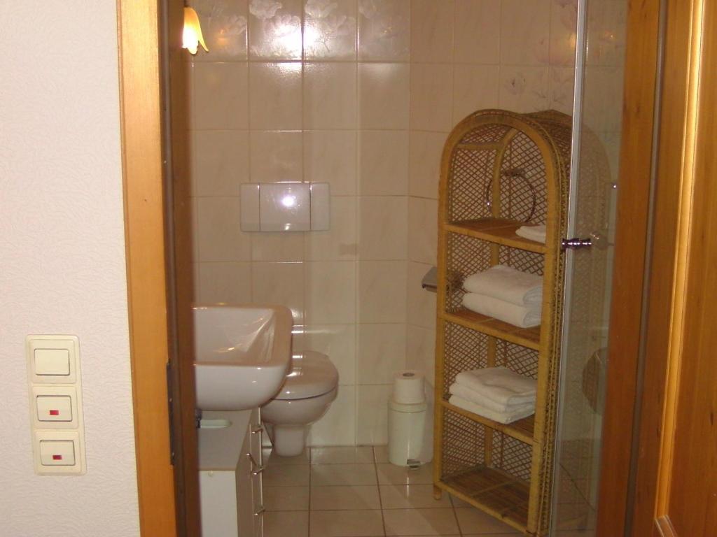 a small bathroom with a toilet and a sink at Alte Schreinerei-Auberge Harlekin in Randegg