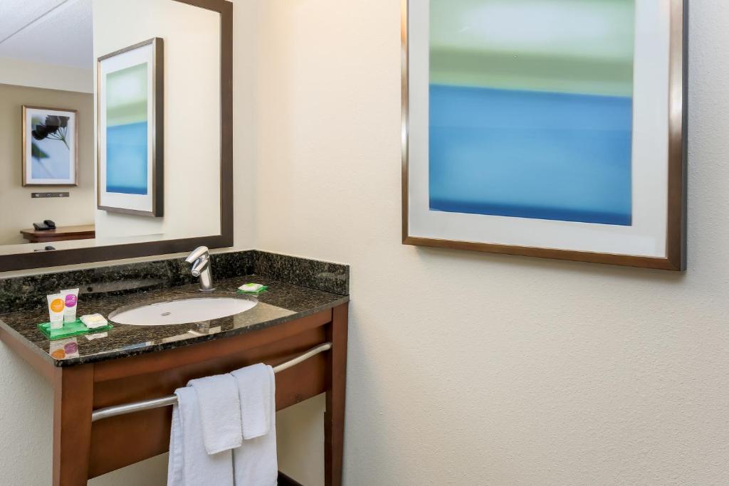 Hyatt Place Dallas/Grapevine - Salle Royale Avec Canapé-lit Et Douche En Rouleau - Accès Aux Personnes Handicapées