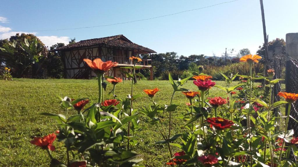 a garden with flowers in front of a gazebo at Casa Pampa in San Agustín