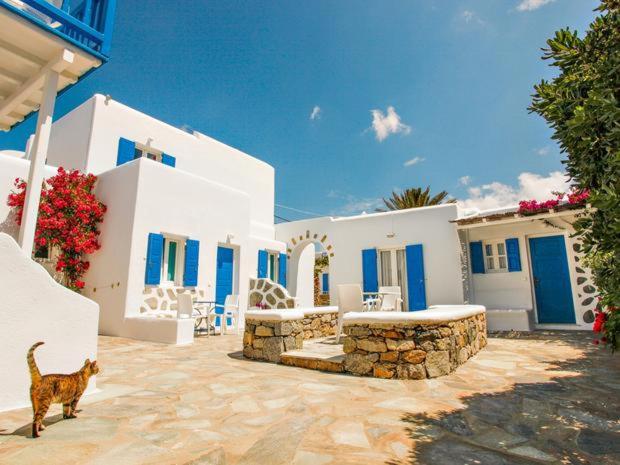 Fotografie z fotogalerie ubytování Anemos Hotel & Apartments v destinaci Ornos