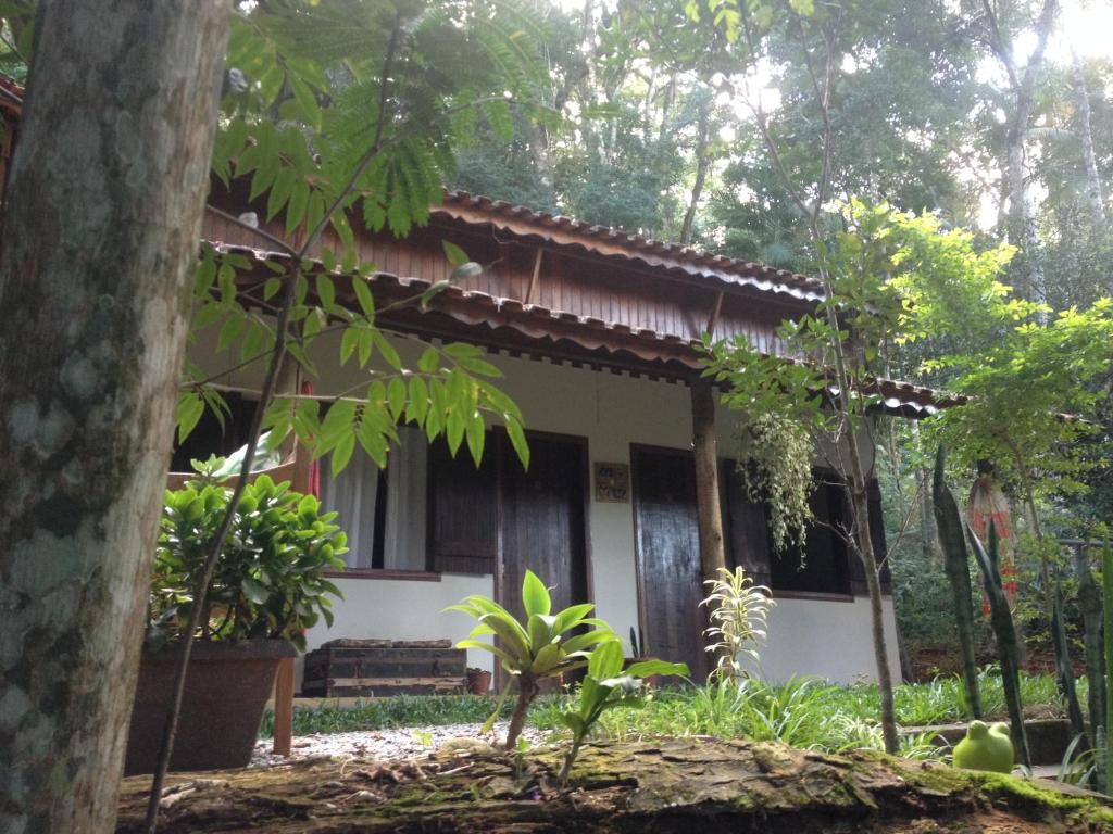 a house in the middle of the forest at Entre Arvores Refúgio in Lumiar