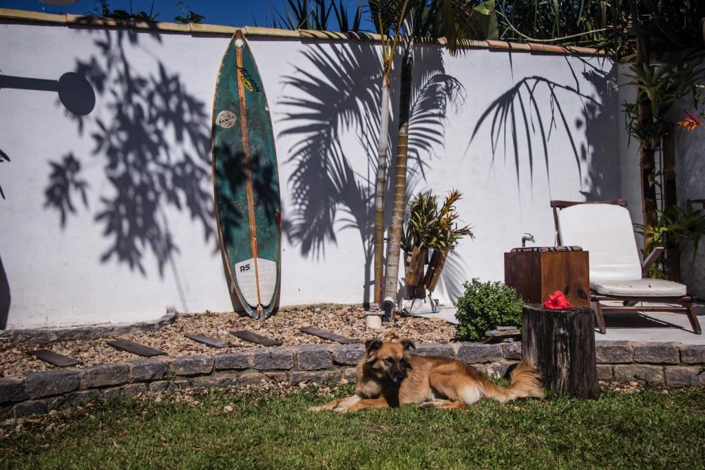  Planeta Banana Paraty