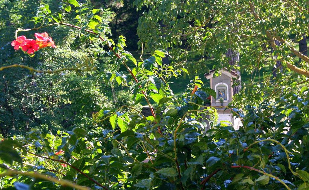 Fotografia z galérie ubytovania Lo Sghimbescio v destinácii Marradi