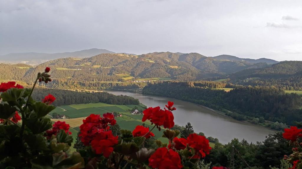 a view of a river and mountains with red flowers at Apartments MM in Muta