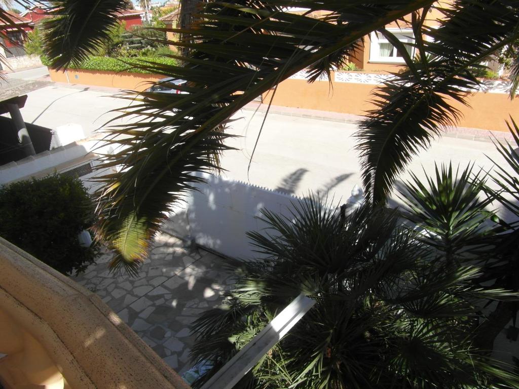 Zahrada ubytování Apartamento con jardin