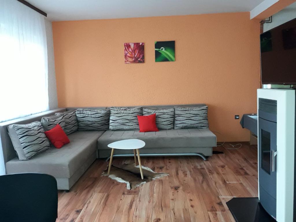 sala de estar con sofá gris y almohadas rojas en Guest house Sistem en Brčko
