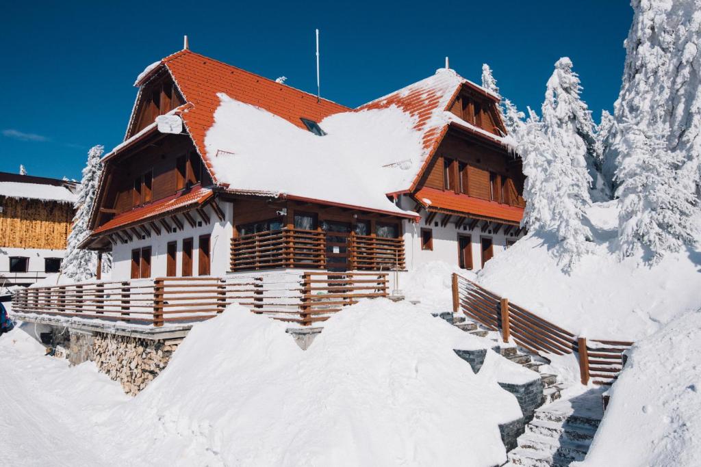 a house covered in snow in front at Madarasi Gyopár Panzió in Izvoare