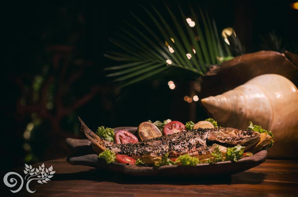  Paua Hotel Boutique