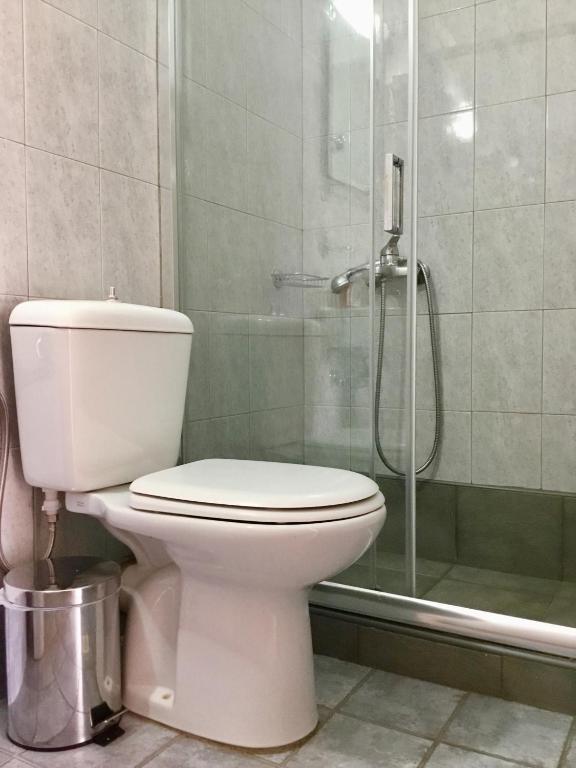 a bathroom with a toilet and a shower at Platanos Rooms in Anopoli Sfakion
