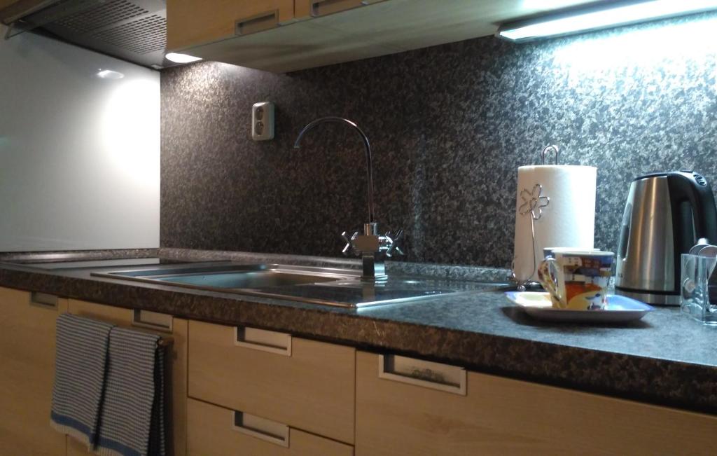 Harrachov Resident Apartments "Terrace & Chill" - high speed WiFi, možnost snídaně, Smart TV, Netflix, Disney plus - 8