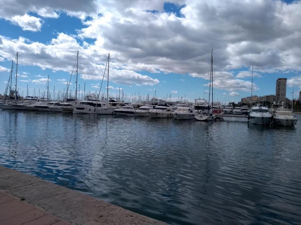La Luna de Alicante, Alicante – Aktualisierte Preise für 2023