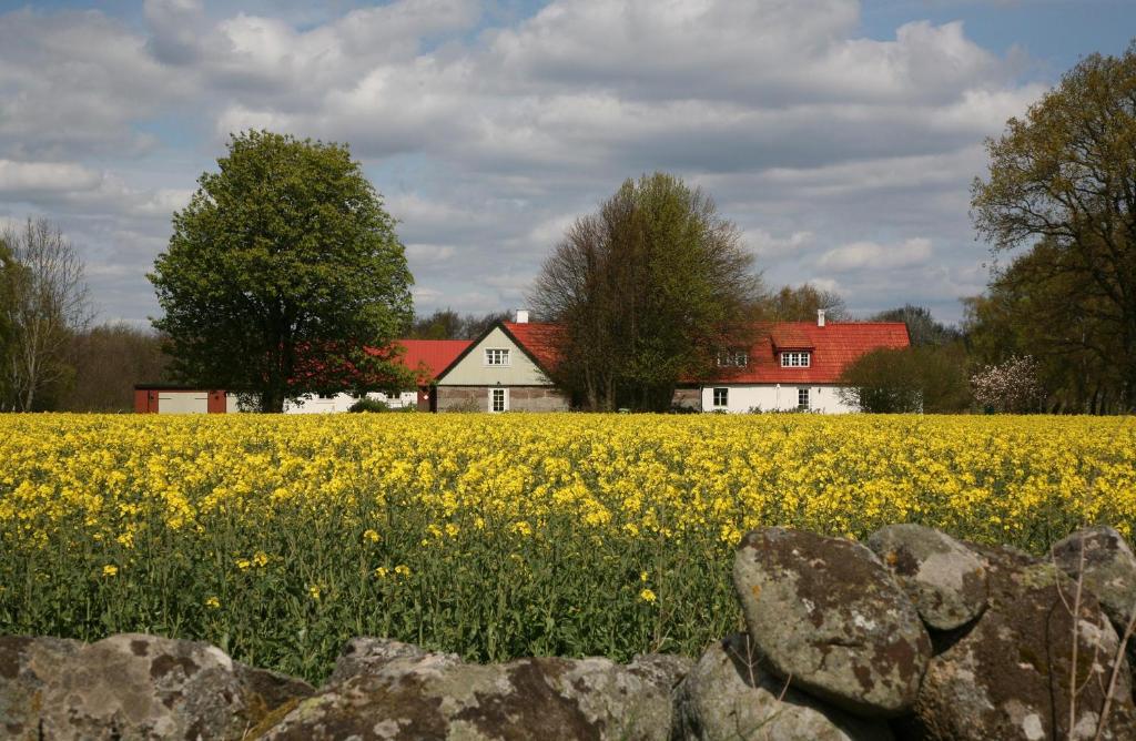 Příroda nedaleko aparthotelu