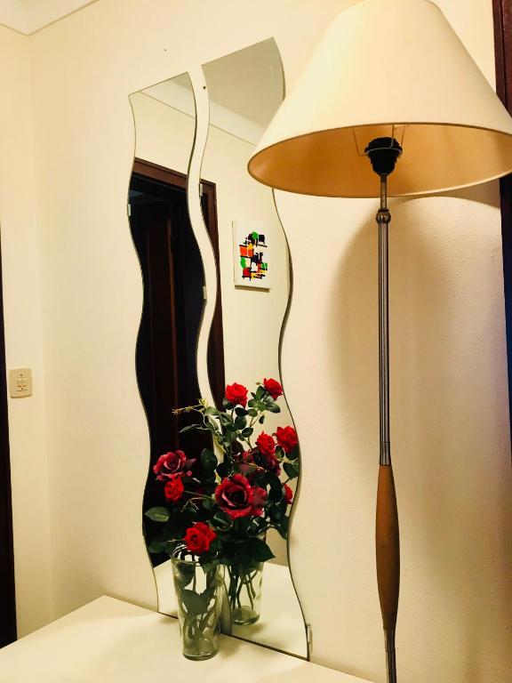 Solar Quinta da Portela - Douro - 19