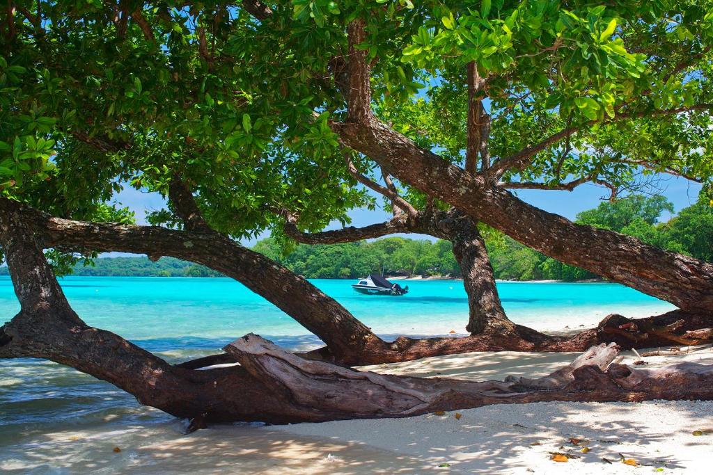 Barrier Beach Resort - Tariffa Sul Lungomare