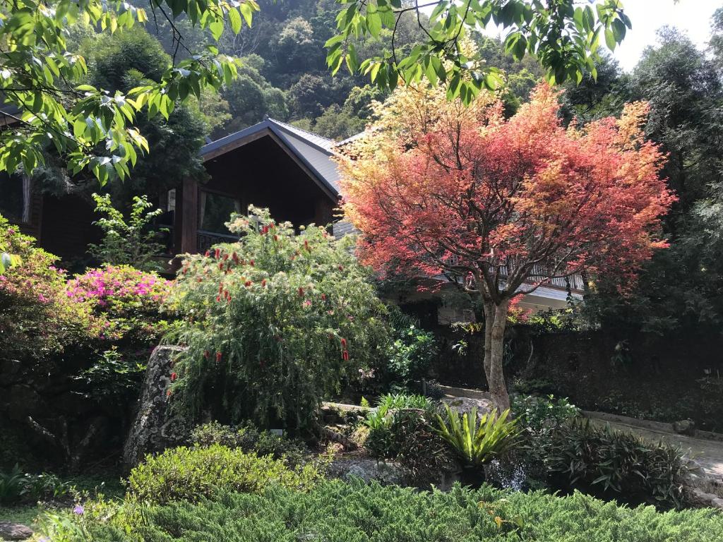 Zahrada ubytování 福緣山莊 桃園市民宿004號