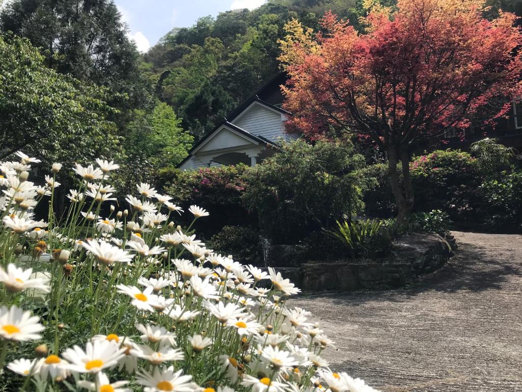 Zahrada ubytování 福緣山莊 桃園市民宿004號