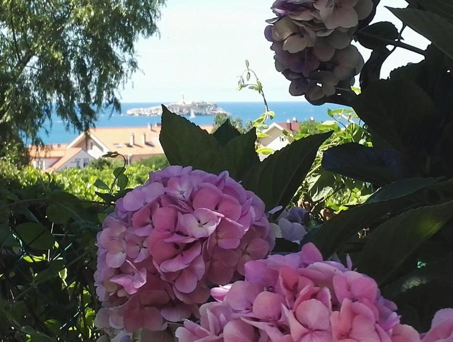 eine Gruppe rosafarbener Blumen mit dem Strand im Hintergrund in der Unterkunft " Estelas" in Somo