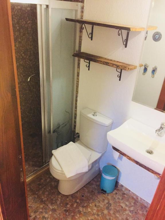 Amazon Petite Palace - 18