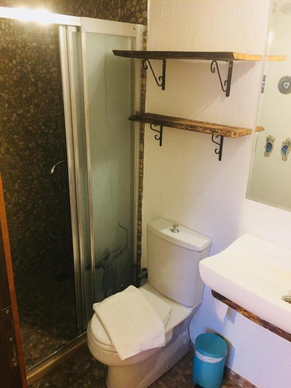 Amazon Petite Palace - 19