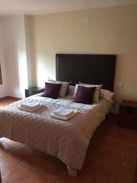 クエンカにあるApartamento Menta y Canelaのベッドルーム1室(大型ベッド1台、紫色の枕付)