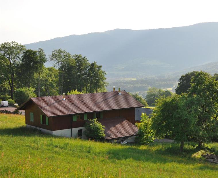 a house sitting on top of a green field at Le Green Chalet in Villard-sur-Boëge