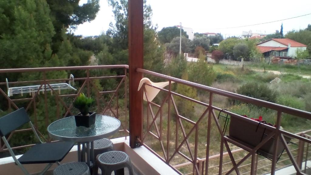 Artemissoula near airport - 5