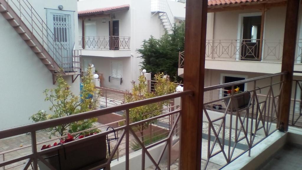 Artemissoula near airport - 4