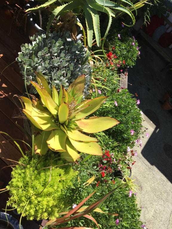 Ah House City B&B Nelson - Resim 26