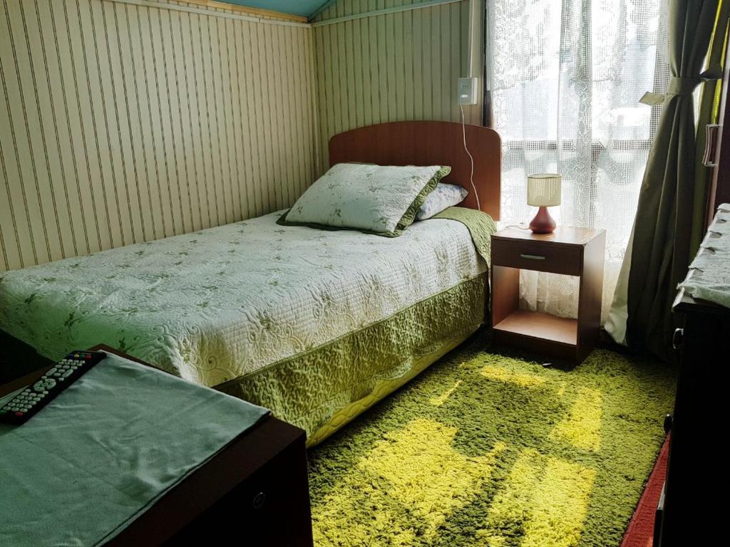 une chambre avec un lit et une fenêtre dans l'établissement Hospedaje María Elena, à Coyhaique