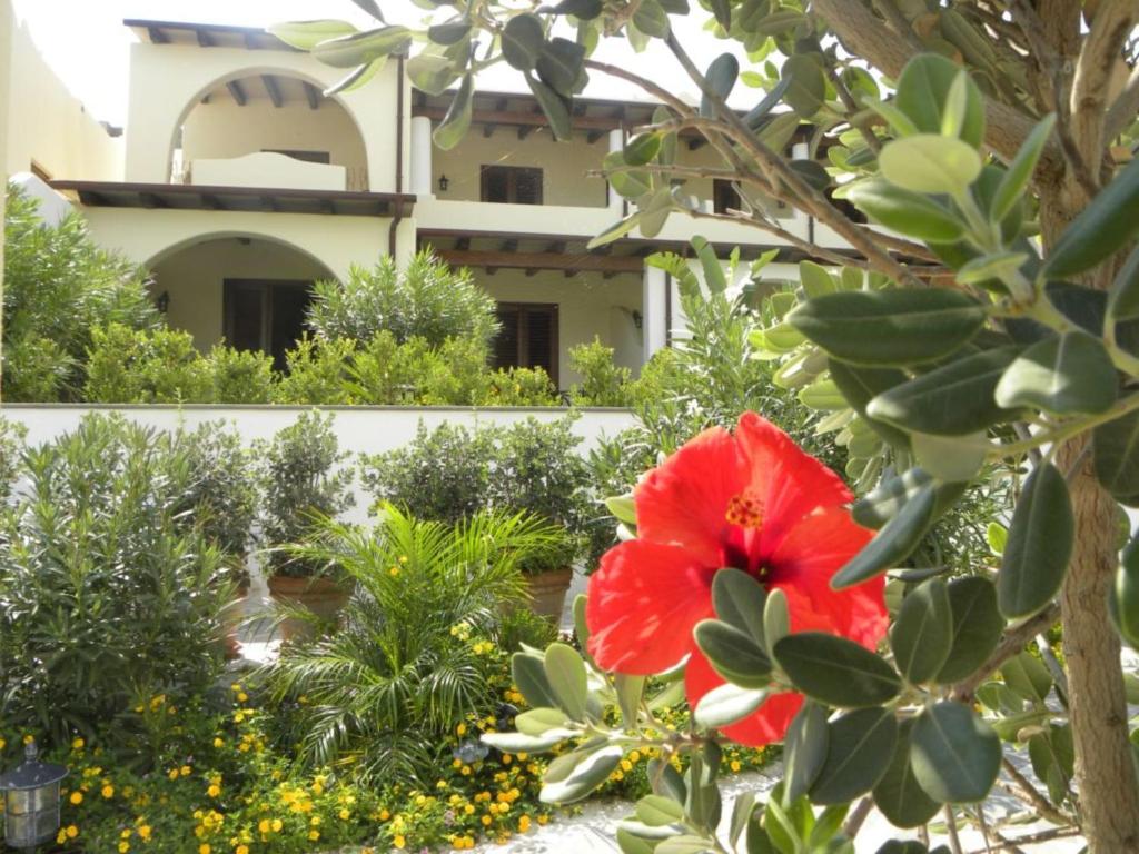 Zahrada ubytování Hotel Borgo Eolie