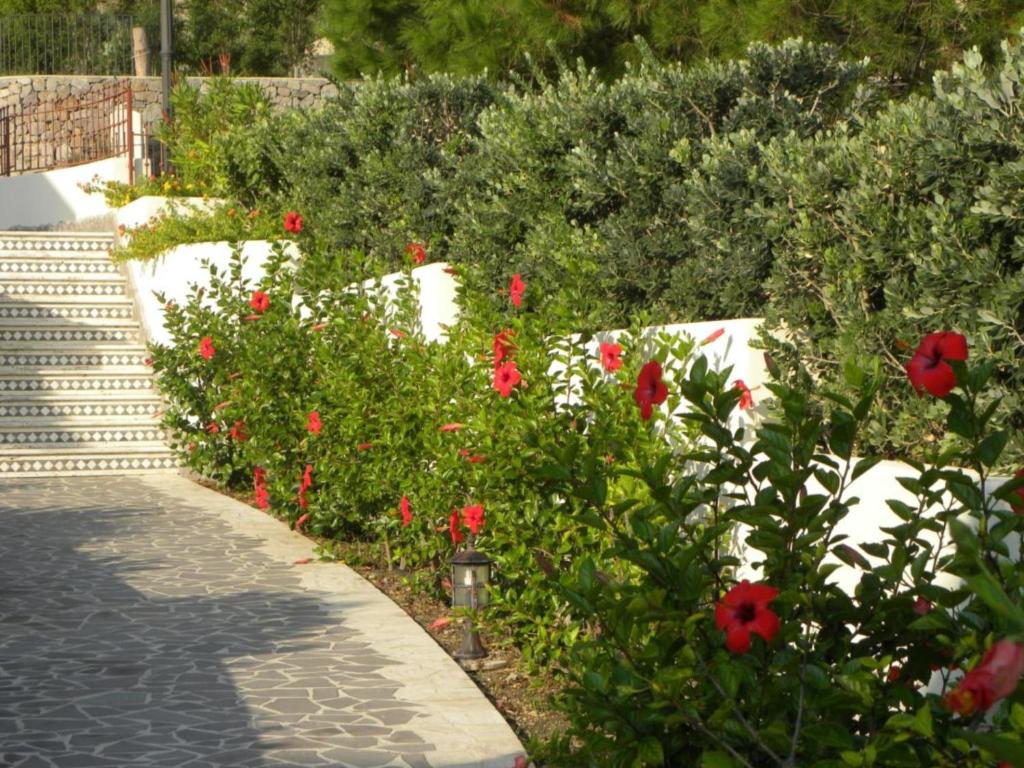 Zahrada ubytování Hotel Borgo Eolie