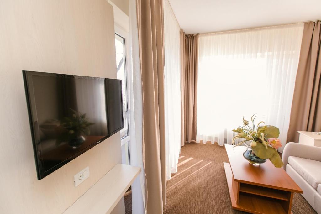 TV a/nebo společenská místnost v ubytování Hotel Nufarul