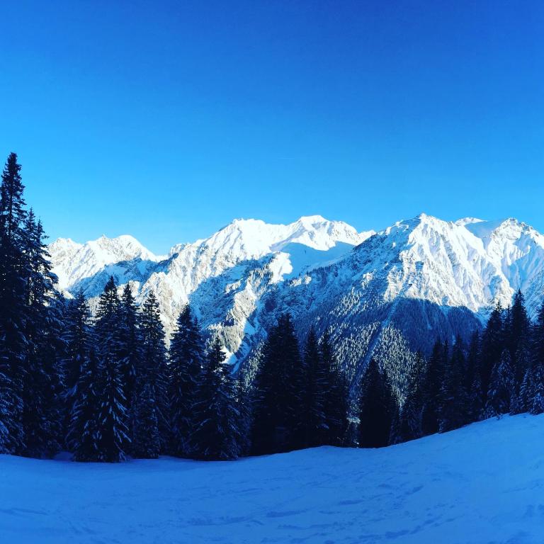 Fotografie z fotogalerie ubytování Landhaus Lackner v destinaci Klösterle am Arlberg