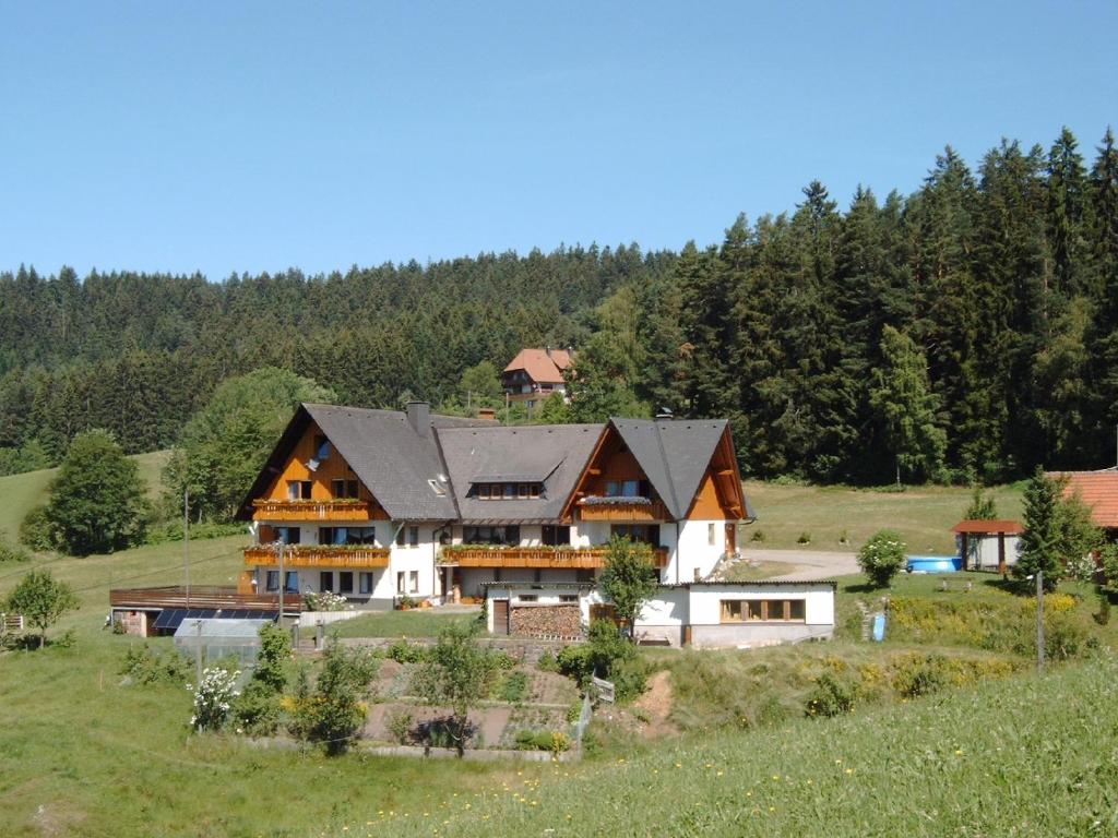 una casa grande en una colina en un campo en Haus Erlenmoos, en St. Georgen im Schwarzwald
