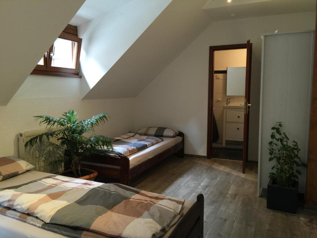 FeWo Pleich - Apartment