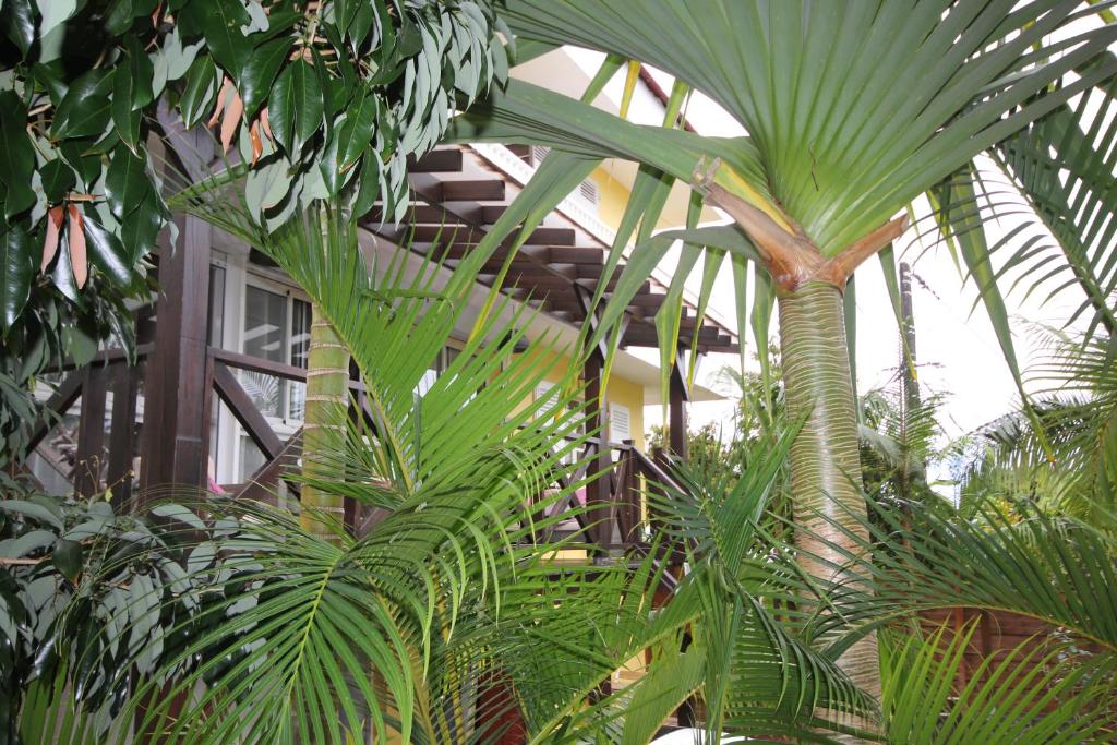 Giardino di LE RUBINJO 2