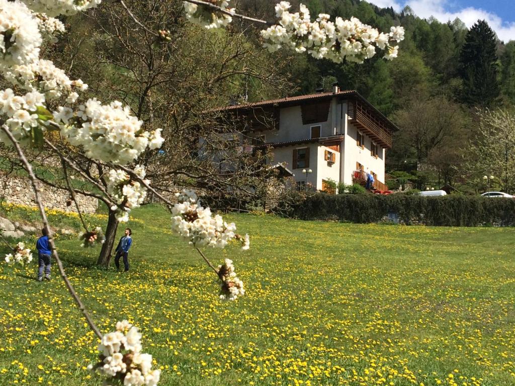 two people in a field of flowers with a house in the background at Maso Zont in Vignola