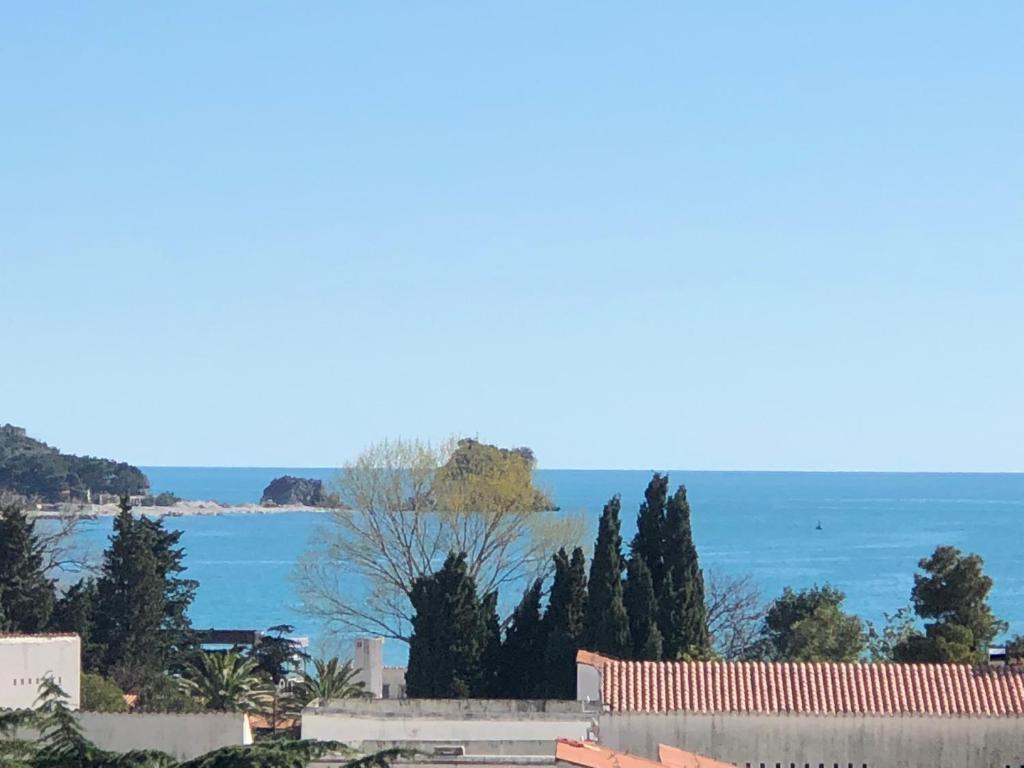a view of a body of water with trees at Apartment Veselin in Budva