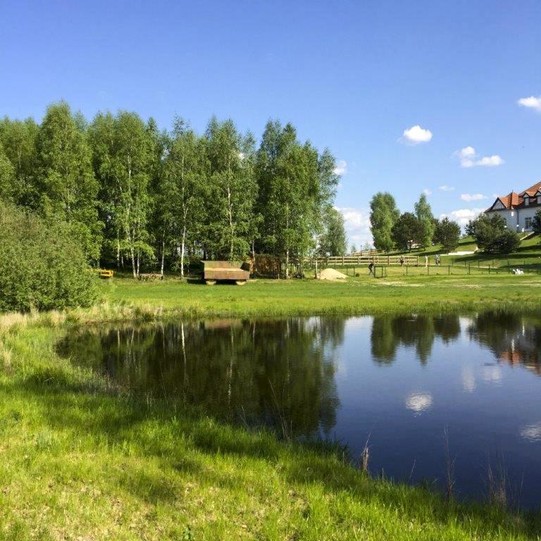 Small reflective pond edged by grass and trees, with fenced hillside and buildings in background.